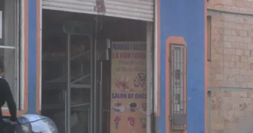 PANADERIA Y GALLETERIA LA FORTUNA PANADERIA Y GALLETERIA LA FORTUNA